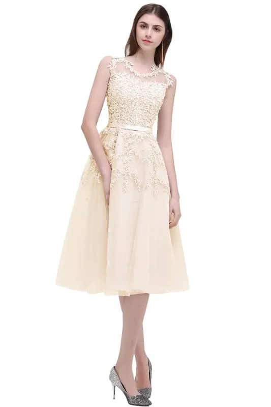 A-line Tulle Lace Tea Length Party Dress Crew neck Sleeveless Short Homecoming Dress