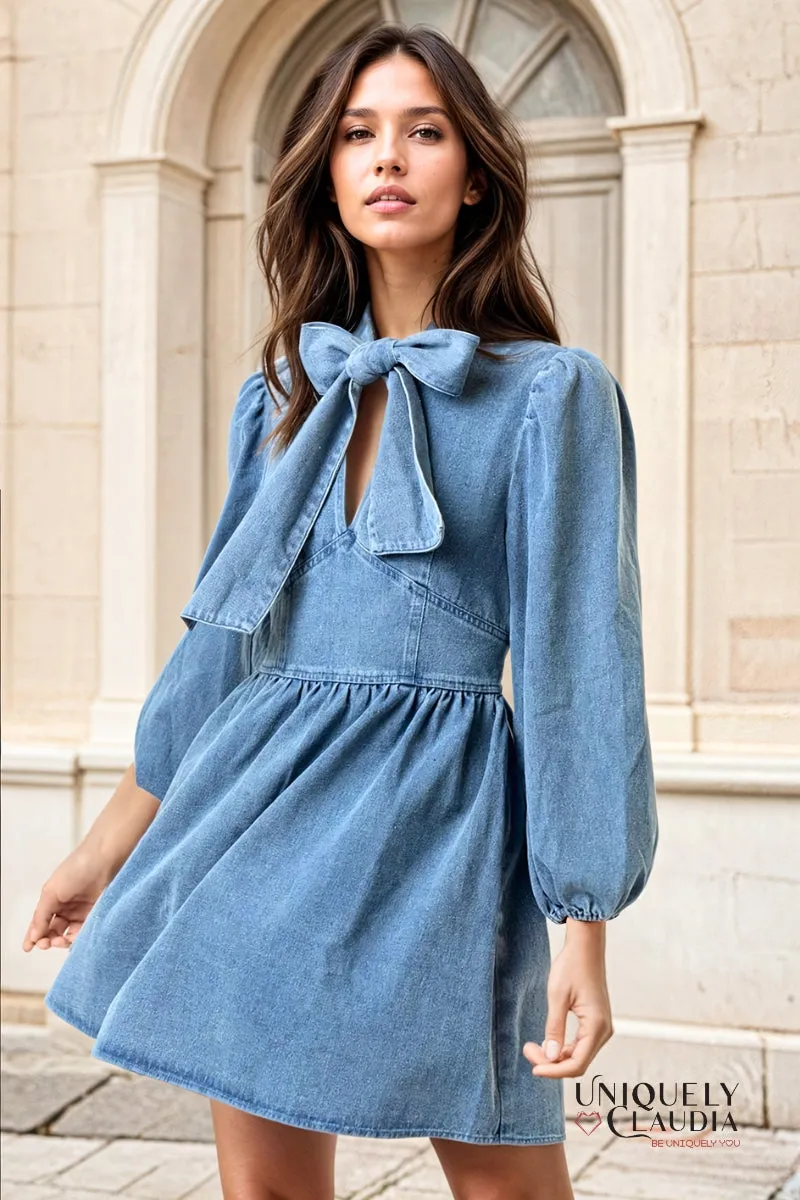 Barbara Bow Neck Tie Denim Babydoll Dress