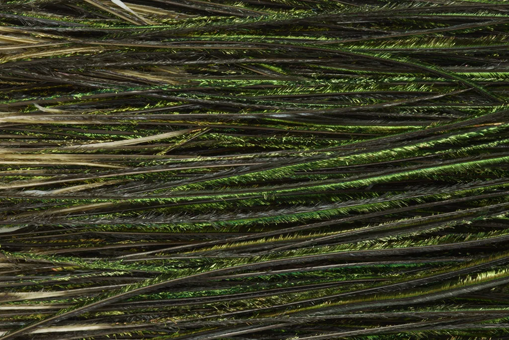 Fulling Mill Premium Selected Peacock Herl