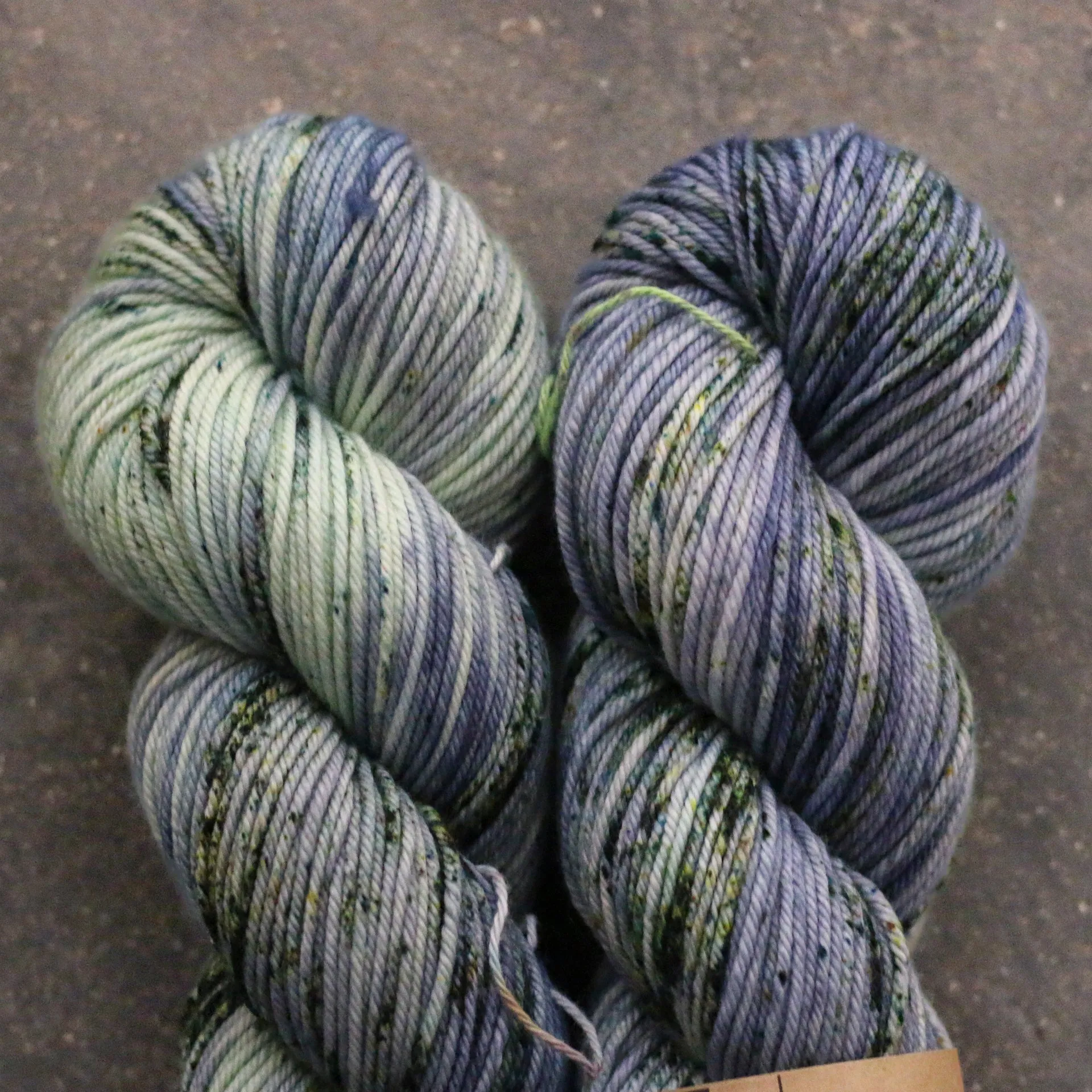 Pashmina